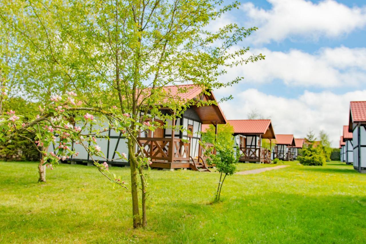 Villa Domki Dzika Roza à Ujście-Darłowskie Extérieur photo